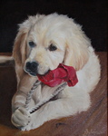 Animal & Pets in oilpainting