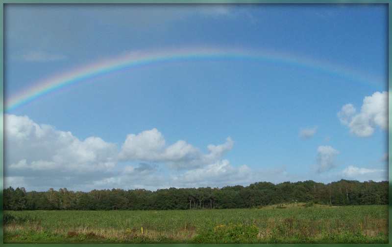 Regenboog