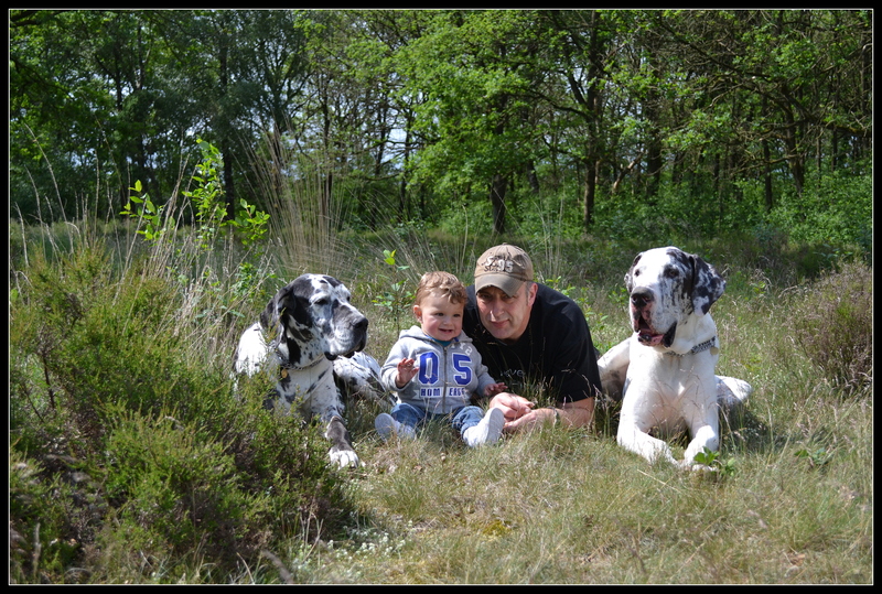 Met honden
