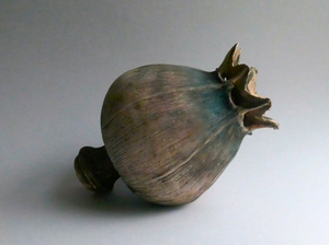 Zaaddozen symboliseren de schoonheid van het verval en de belofte van nieuwe groei.