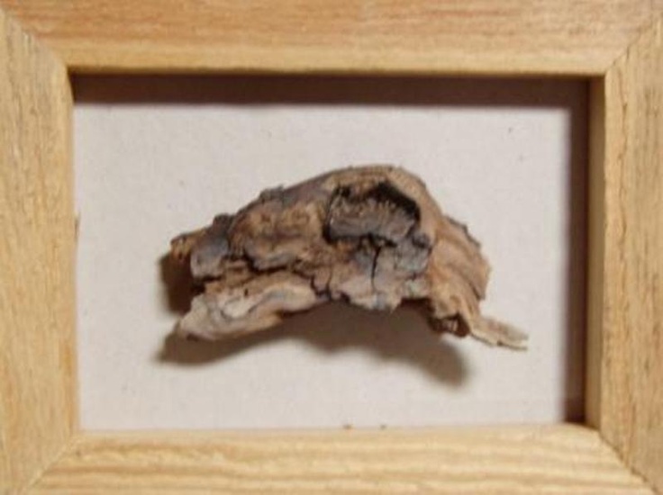 Arte Povera (detail)