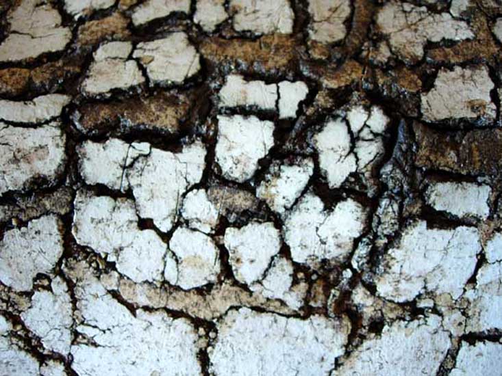 Detail gebrande klei