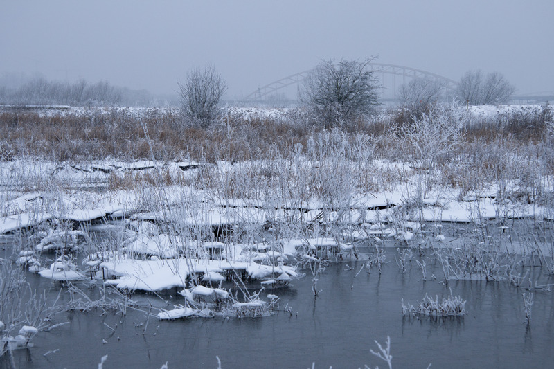 winterlandschap