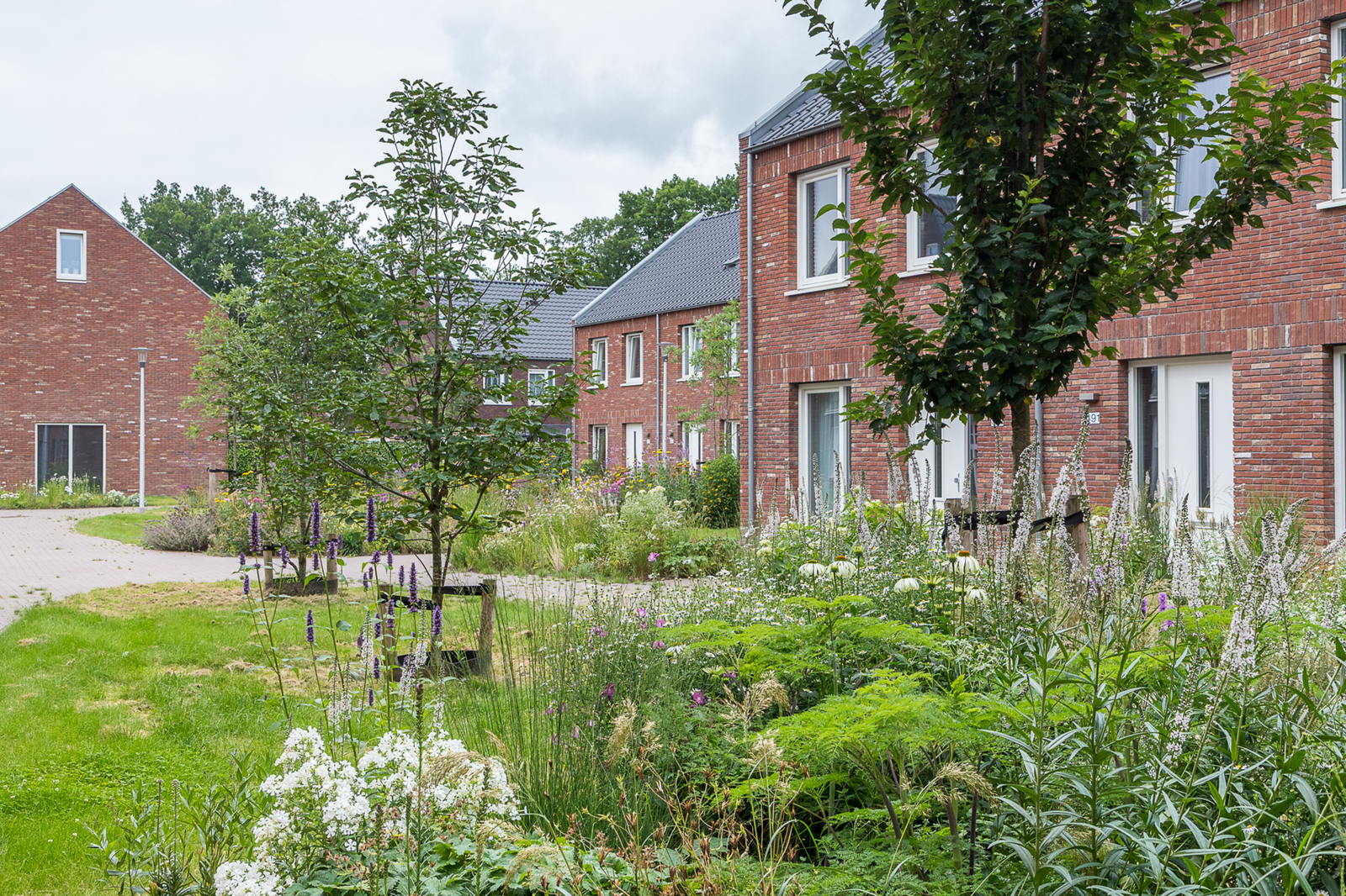Boshuizen Apeldoorn