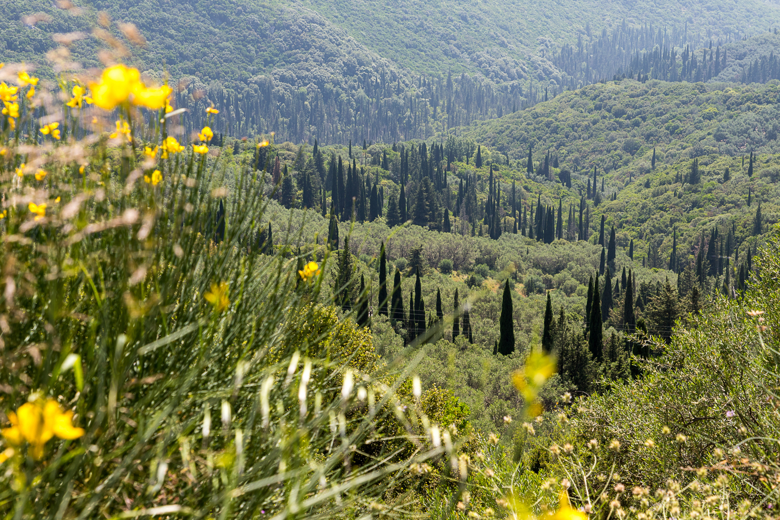 Pandokrator gebergte
