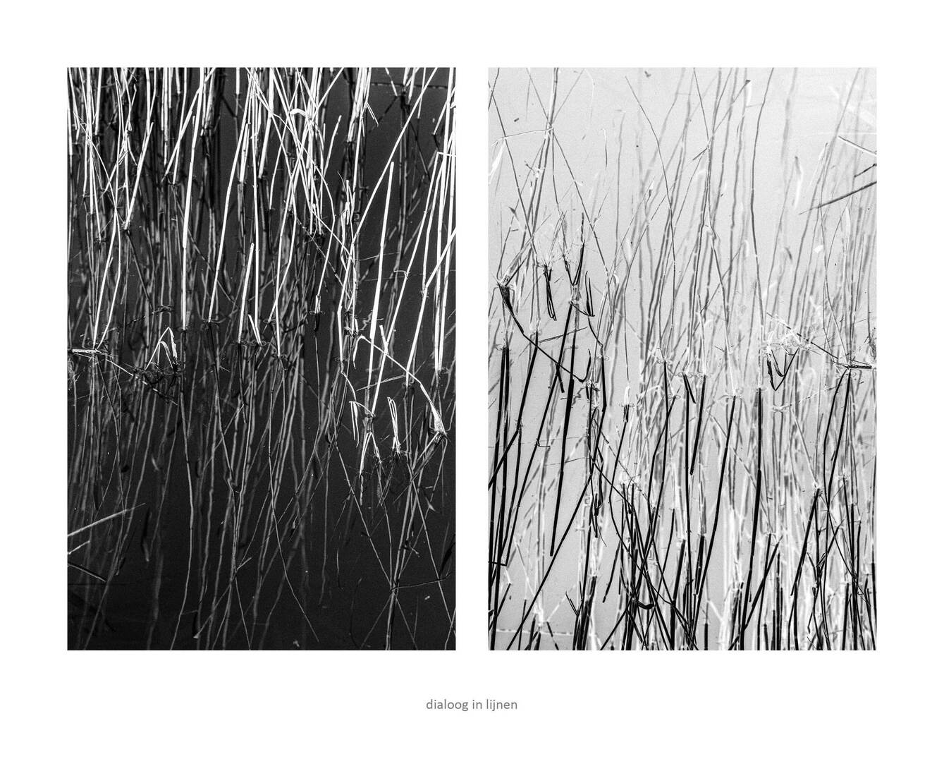 dialoog in lijnen