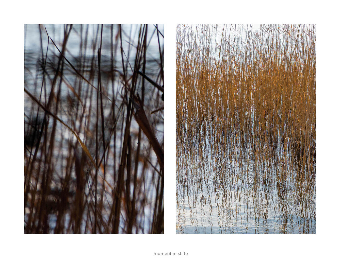 moment in stilte