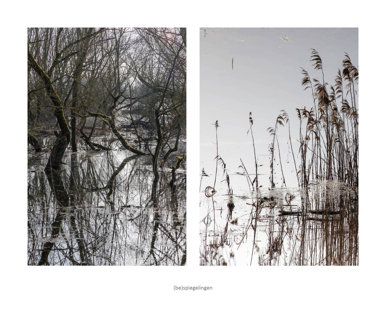 (be)spiegelingen