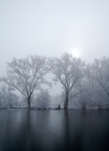 Sneeuw in de ochtenmist 1