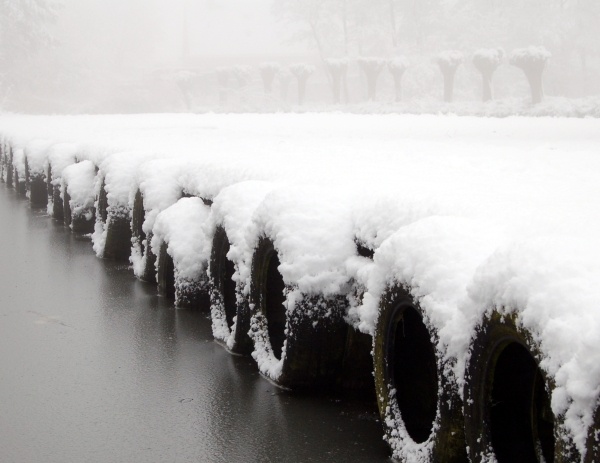 Sneeuw in de ochtenmist 4