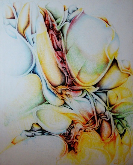 In The Veins of The New World