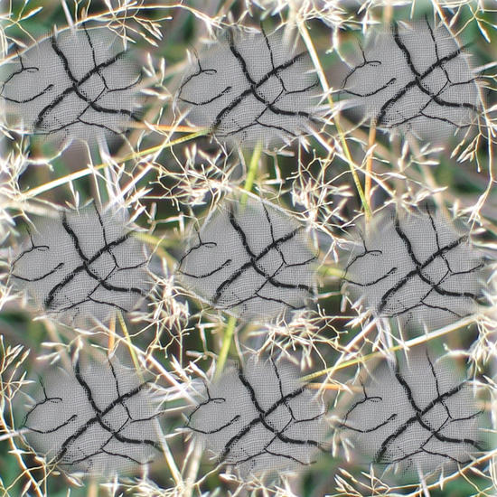 herhaling in het gras