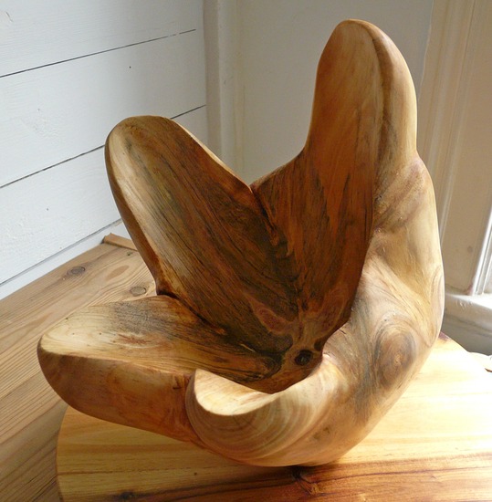 steeds opnieuw ontdekken