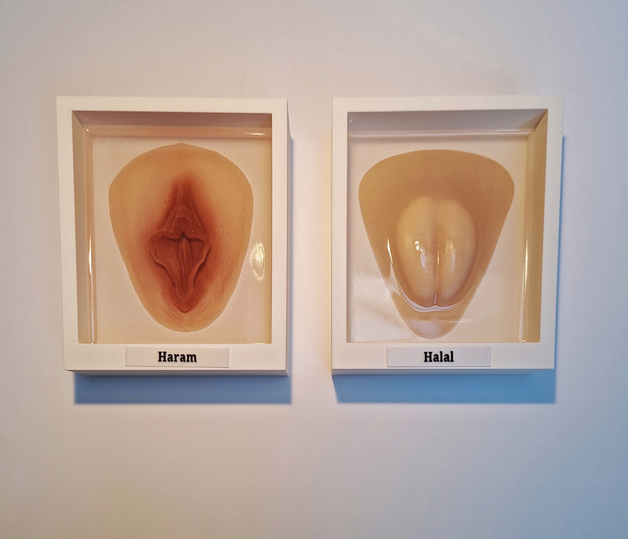 The politics of the flesh