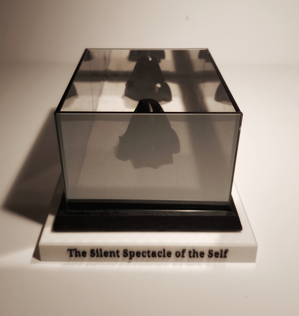 The silent spectacle of the self