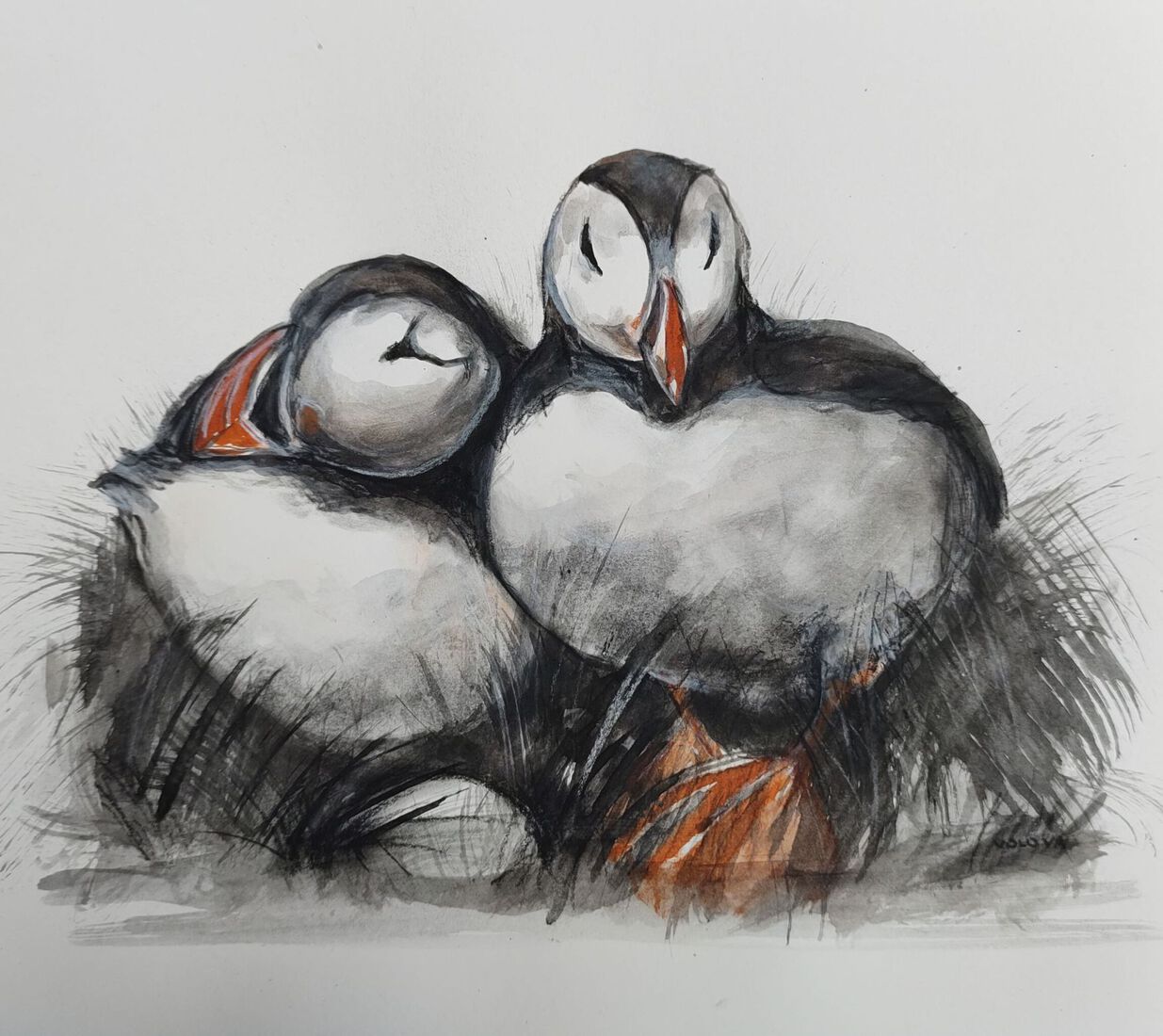 puffins 2