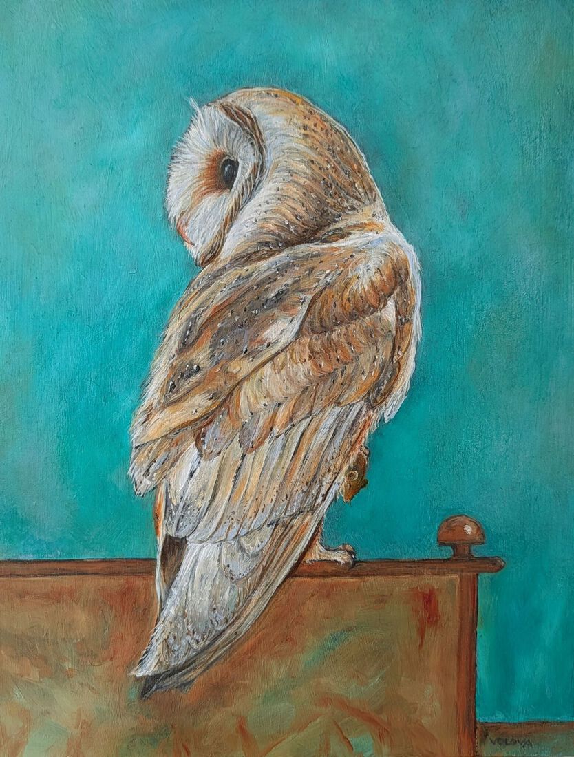 owl