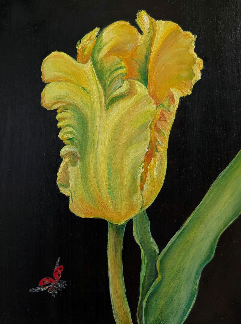 tulp Goldrace