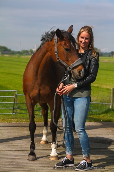 Paarden shoot1