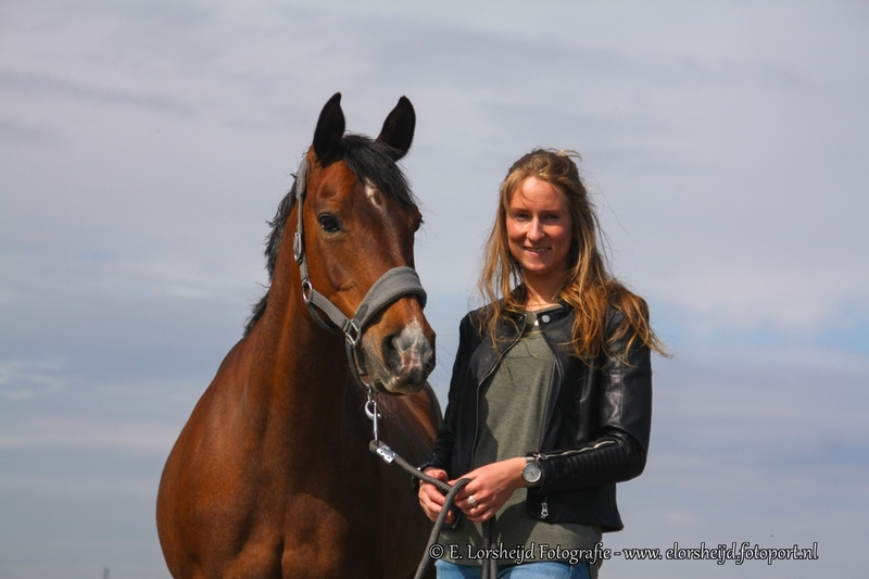 Paarden shoot2