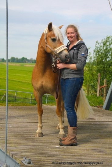 Paarden shoot5