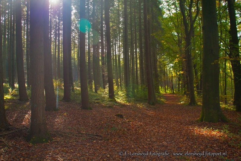 Belgische Ardennen 4