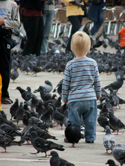 Doves