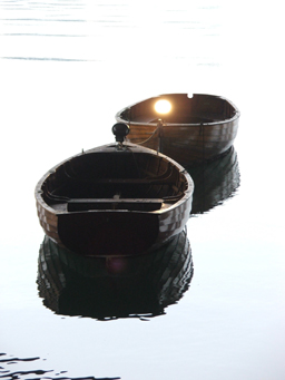 Light