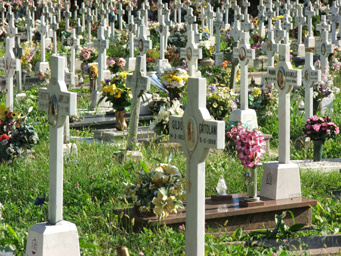 Crosses