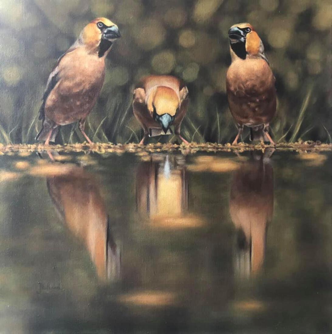 De Appelvinken mannenclub