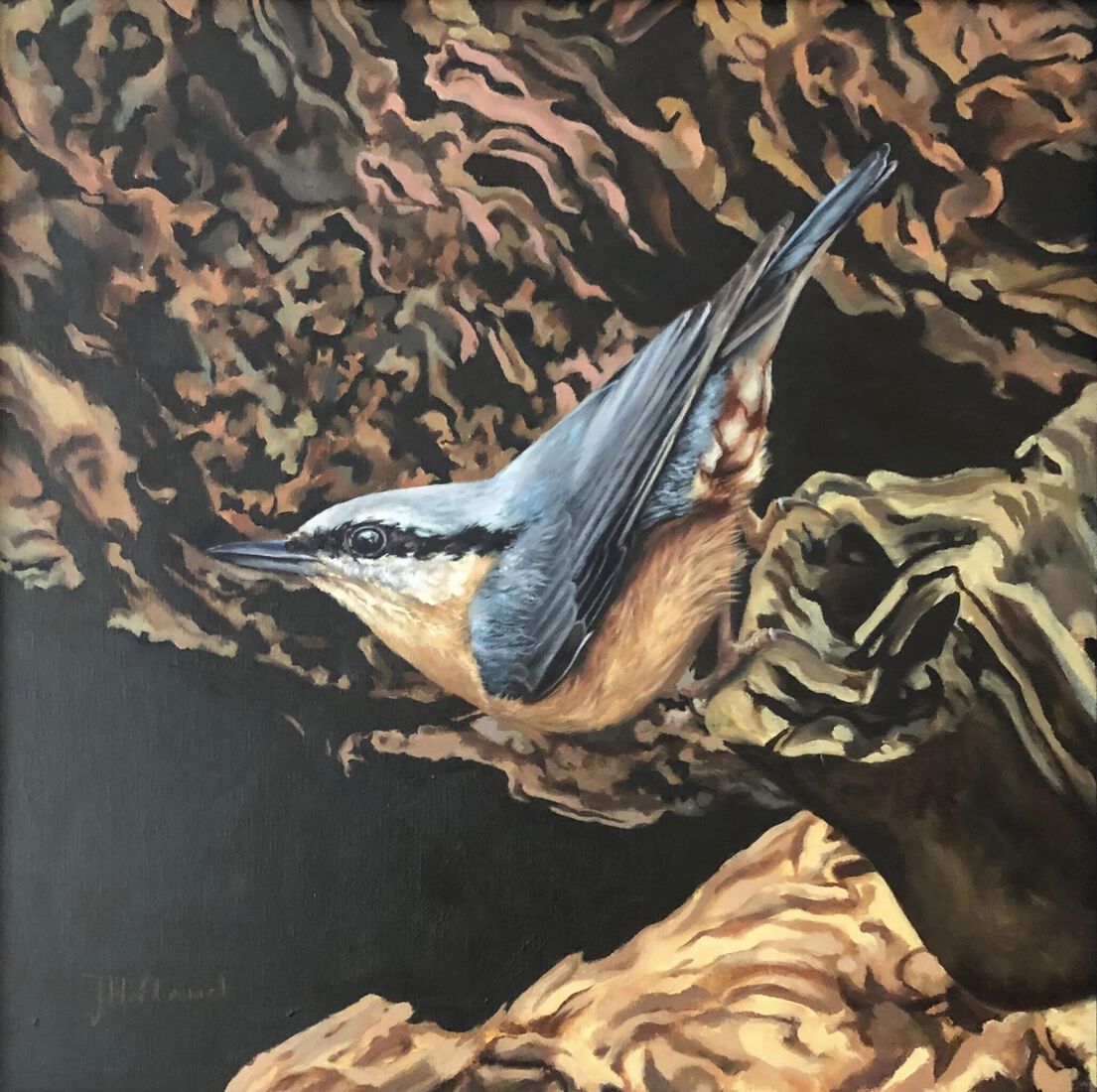 Boomklever op oud hout