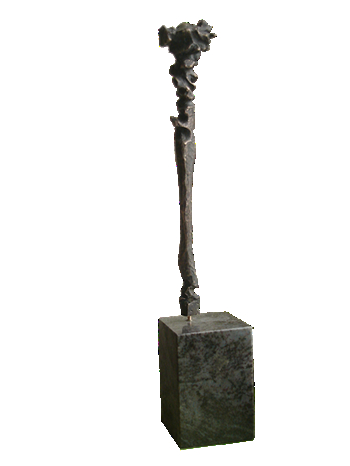 torso 06