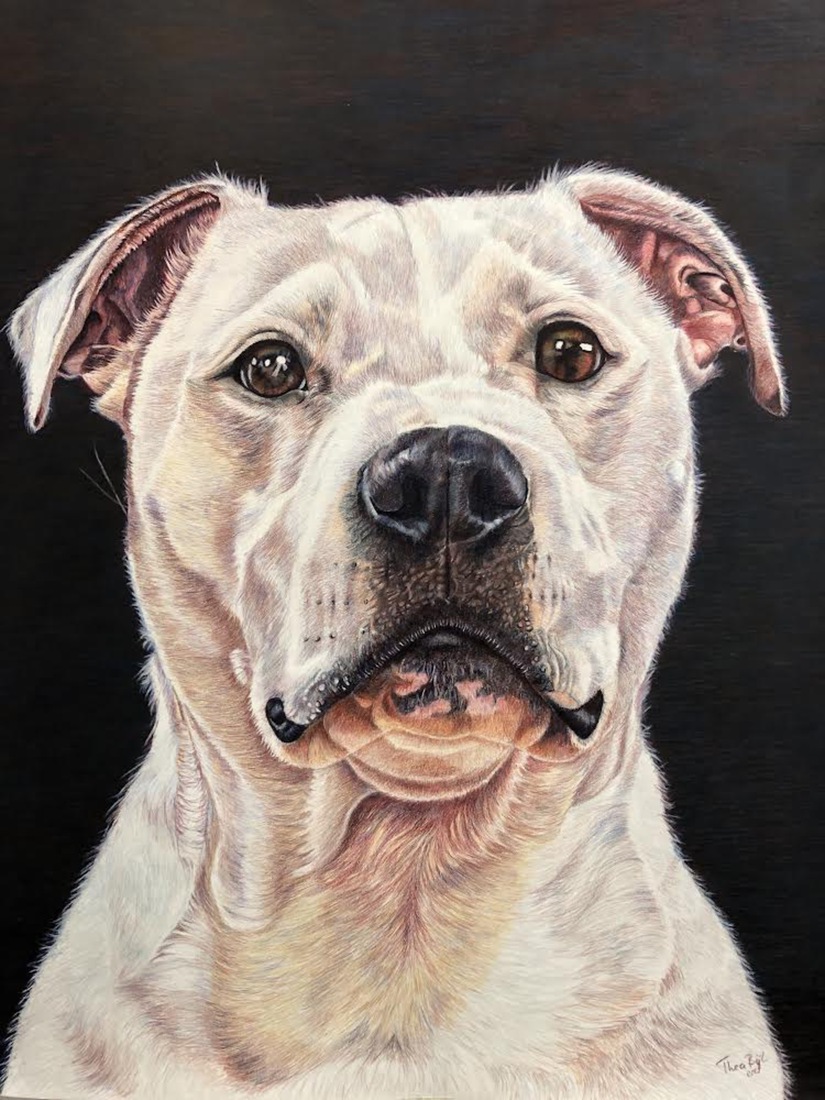 Hondenportret in opdracht