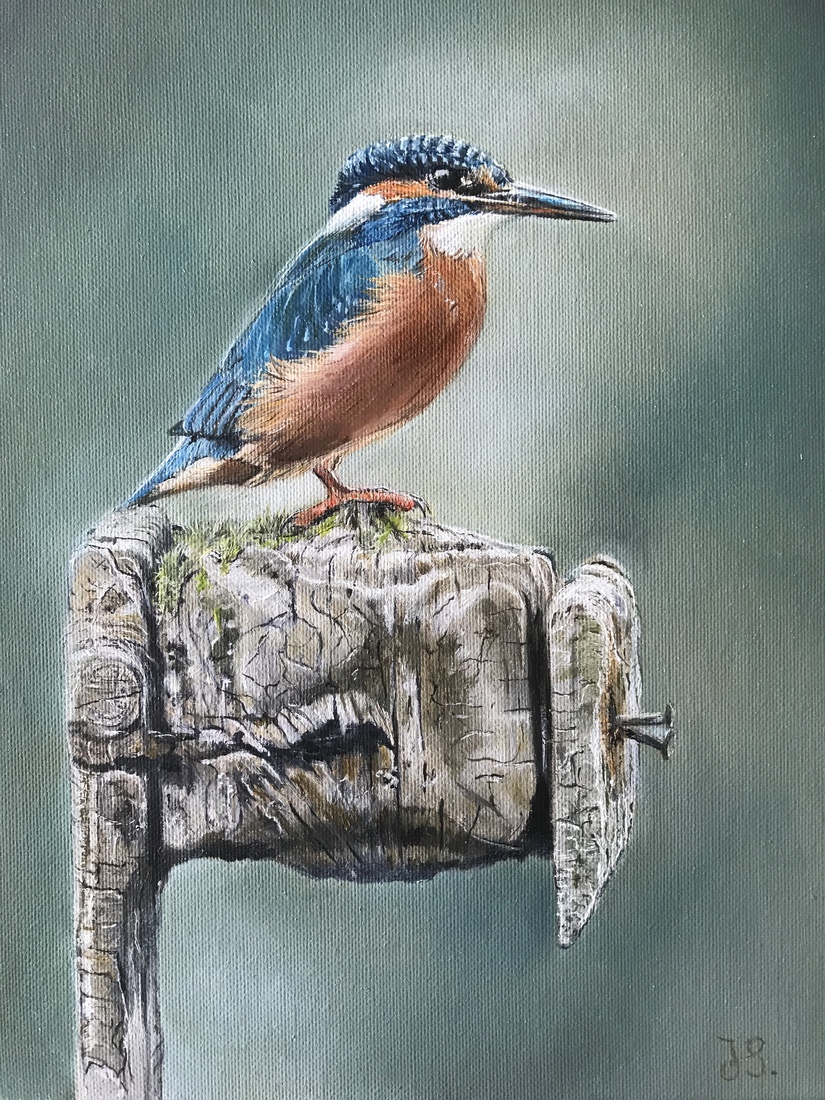Ijsvogel nr. 9