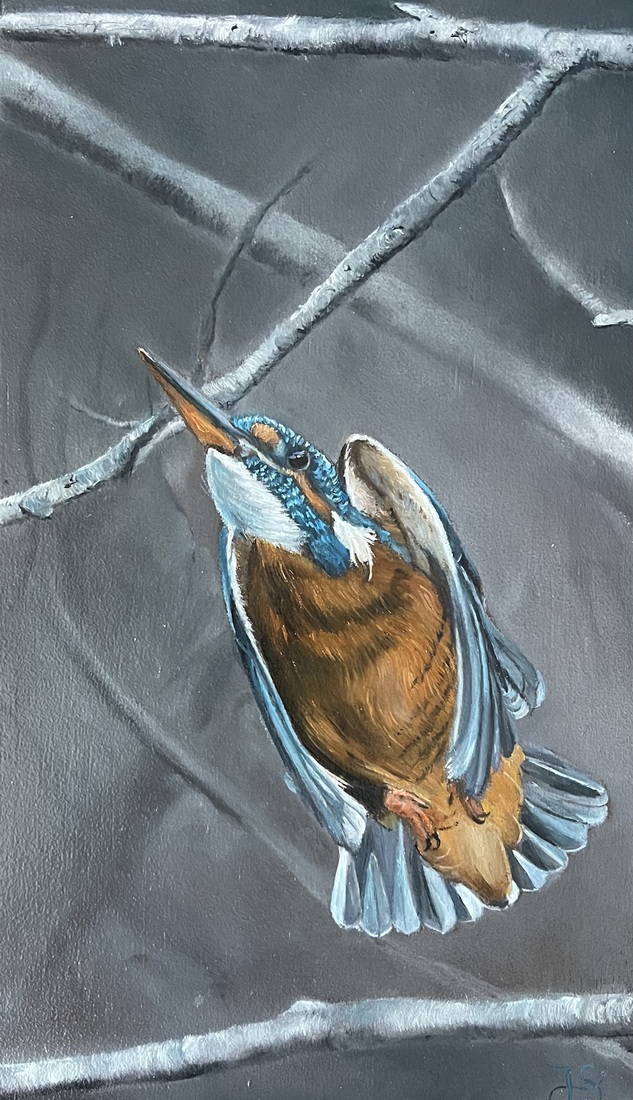 IJsvogel nr. 19