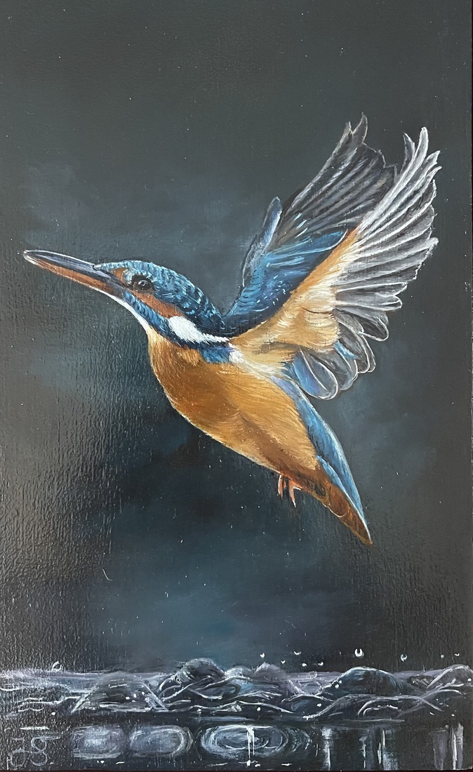 IJsvogel nr. 20