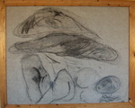 Mijn tekeningen ontstaan spontaan en zijn deels figuratief of abstract. Het zijn registraties van ervaringen en emoties. Soms heb ik het idee dat ik het niet zelf doe maar op een of andere manier gestuurd word.