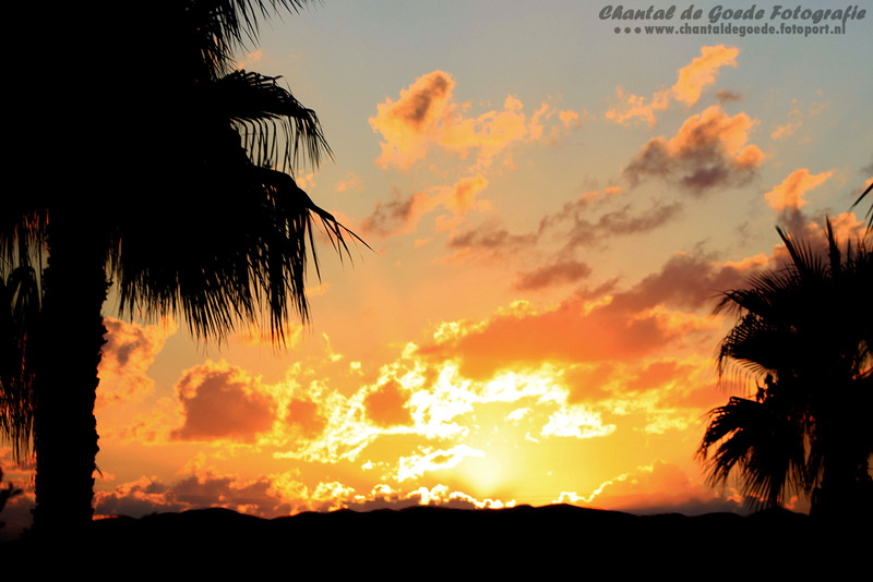 Natuur en Cultuur 012