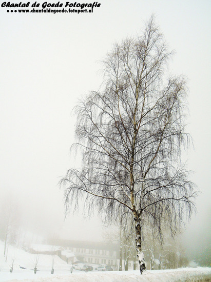 Natuur en Cultuur 001