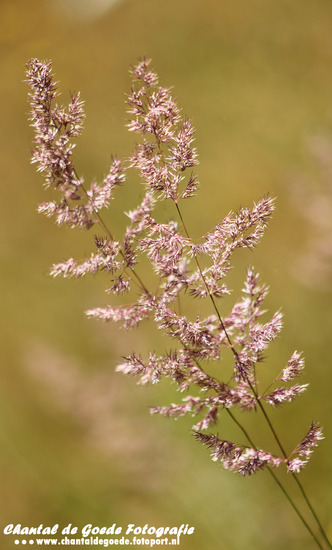 Natuur en Cultuur 004