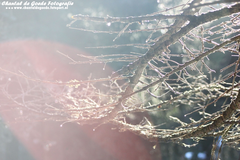 Natuur en Cultuur 008