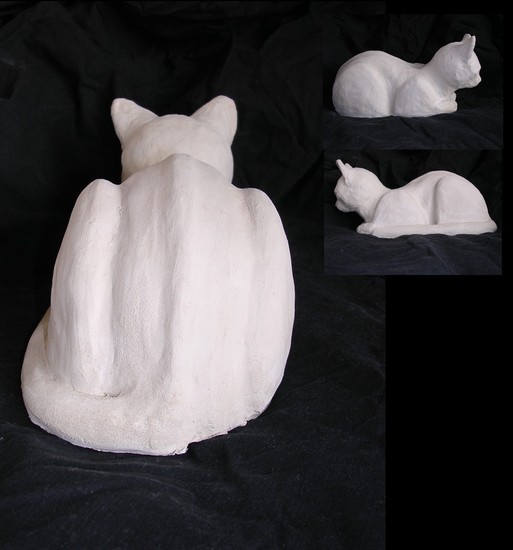 Eerbetoon aan onze kat