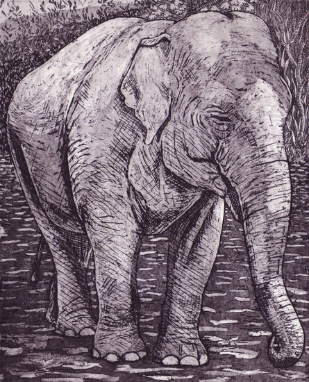 nyonya besar - e.a. 9