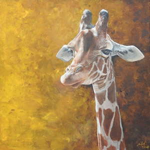 Schilderijen in olieverf en acryl.