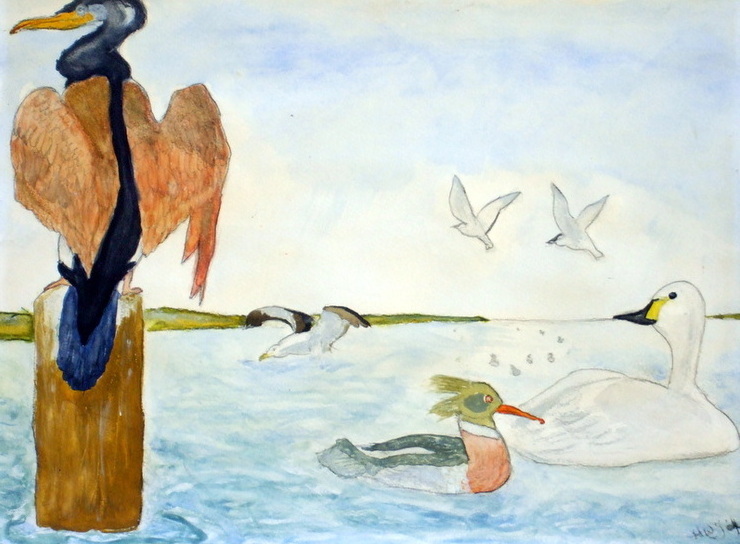 birds in their environment