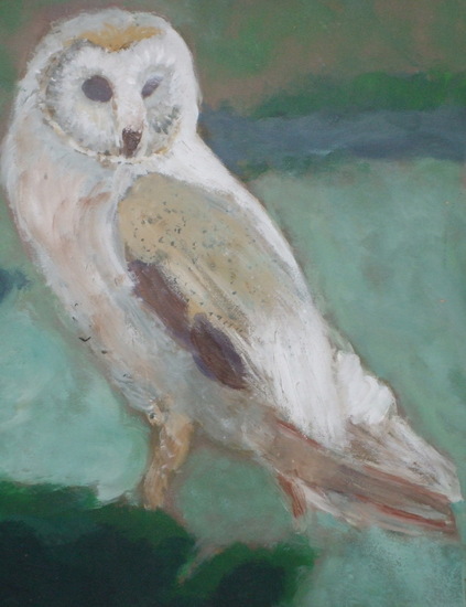 owl