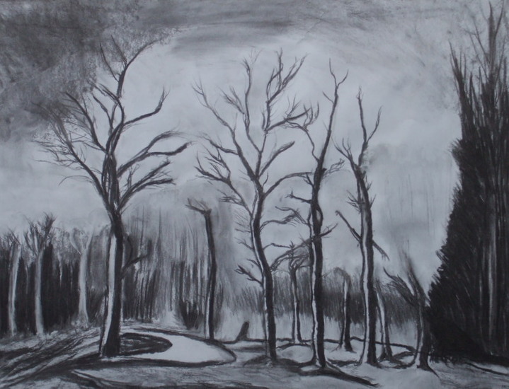 Forest in death winter mood