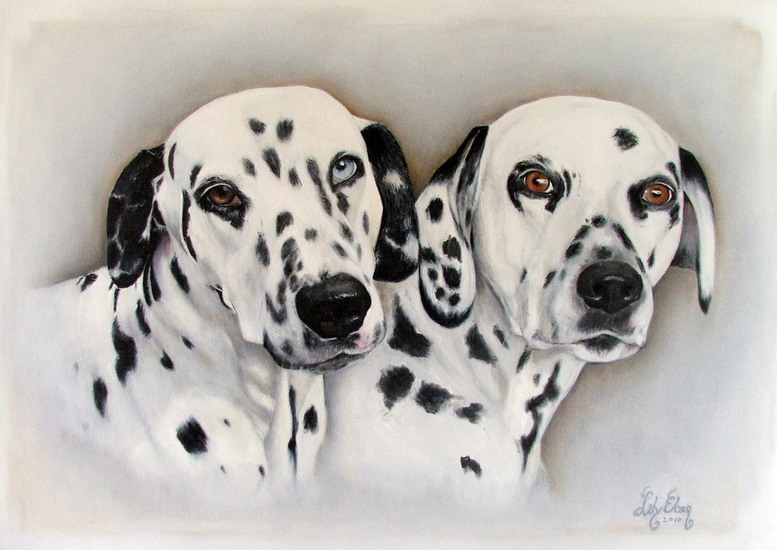 Dalmatians