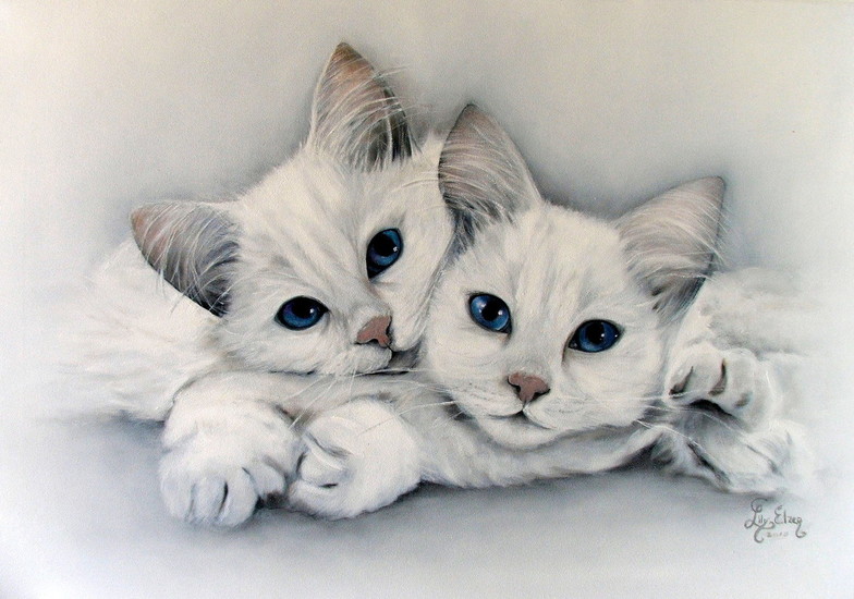 Two white cats