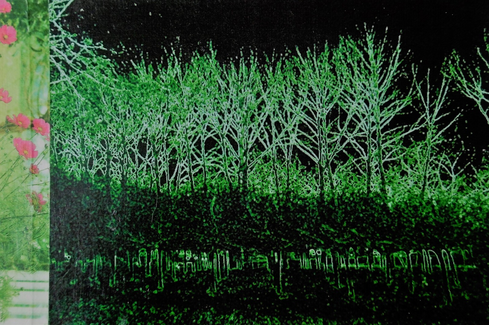 Green side of the road